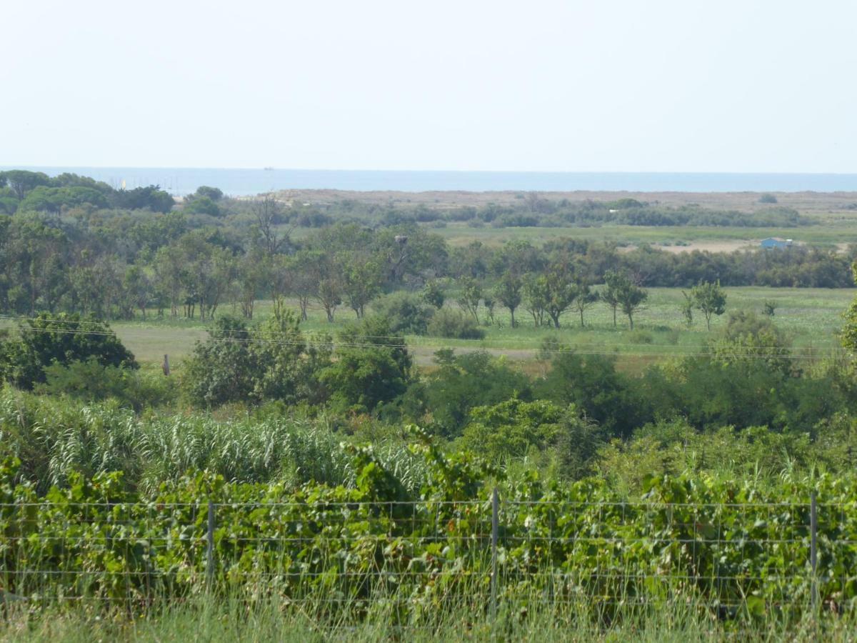 Gite Des Jonquies, Au Calme Vue Sur Le Canal Du Midi Et La Mer Portiragnes Zewnętrze zdjęcie