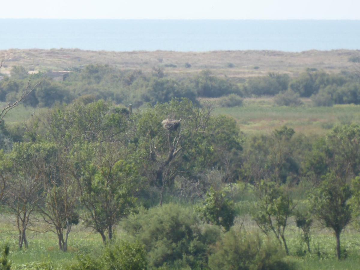 Gite Des Jonquies, Au Calme Vue Sur Le Canal Du Midi Et La Mer Portiragnes Zewnętrze zdjęcie